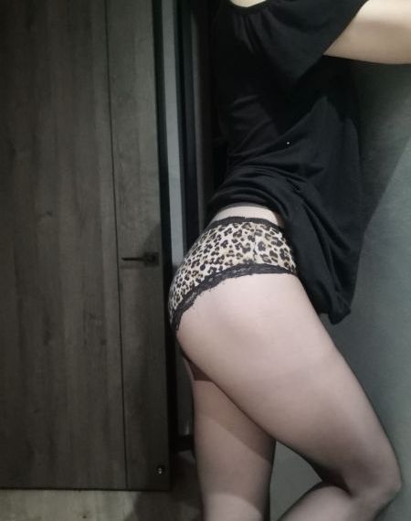 《向风而行》电视剧