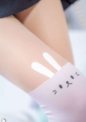 中通速递单号查询