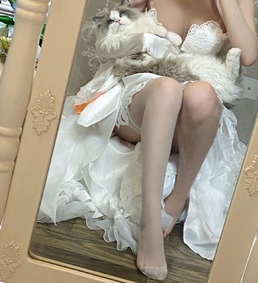 天使与龙的轮舞全集