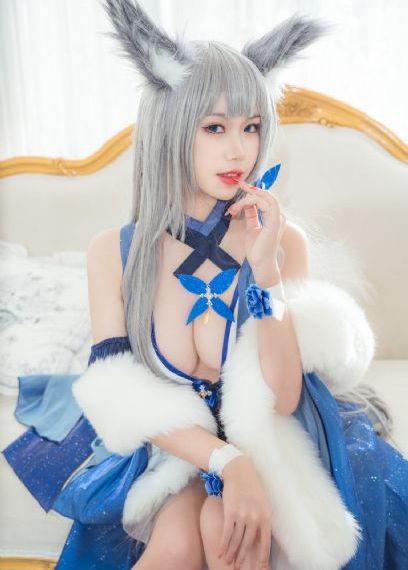 果宝特攻第三季免费观看全集