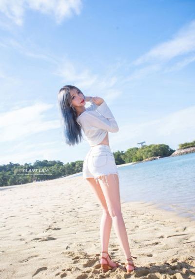 小太正gay免费