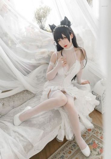 电视剧好团圆免费观看全集