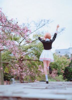 虎啸龙吟 电视剧