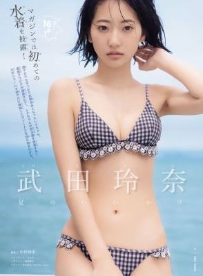 欧美乱视频
